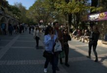 A Ride Full of Smells Sounds and Memories