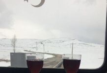 The Servian Language and Cultural Identity