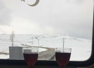 The Servian Language and Cultural Identity