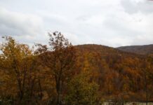 The Tombs of Mycenae