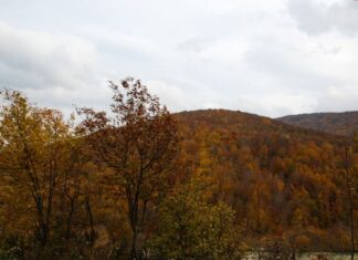 The Tombs of Mycenae