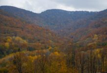 A Special Invitation to the Sultan’s Treasury