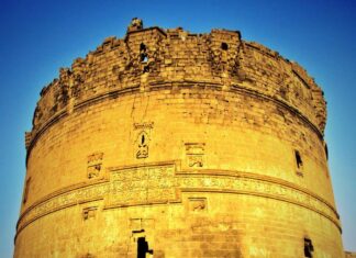 Market Buildings and Their Design