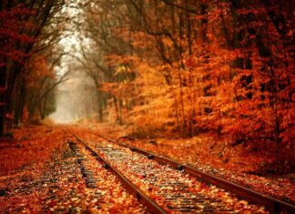 The Use of Tobacco among the Turks